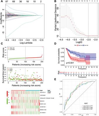 Genome-wide Exploration of a Pyroptosis-Related Long Non-Coding RNA Signature Associated With the Prognosis and Immune Response in Patients With Bladder Cancer